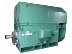 萨迦Y系列6KV高压电机